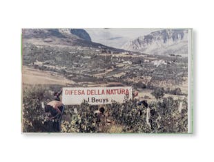 IN DEFENSE OF NATURE